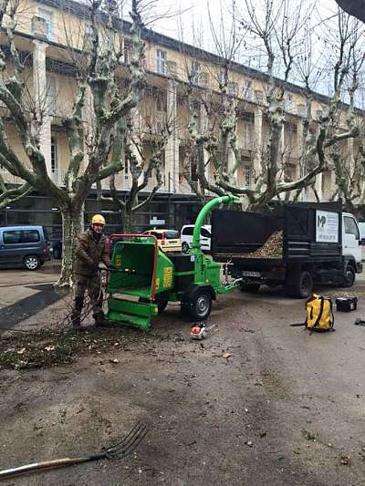 Elagage d'arbres avec broyeur mécanique - Paysagiste élagueur, Béziers Hérault
